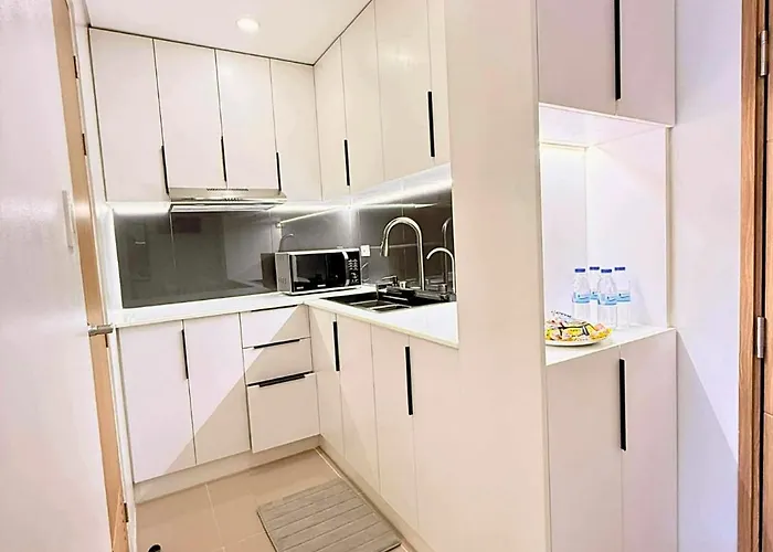 2br Near Naia Fully Furnished Bloom Tower B 公寓 马尼拉