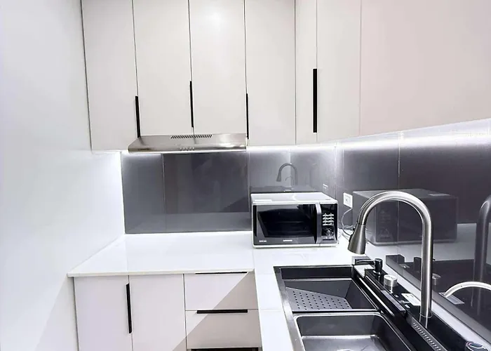 2br Near Naia Fully Furnished Bloom Tower B 马尼拉